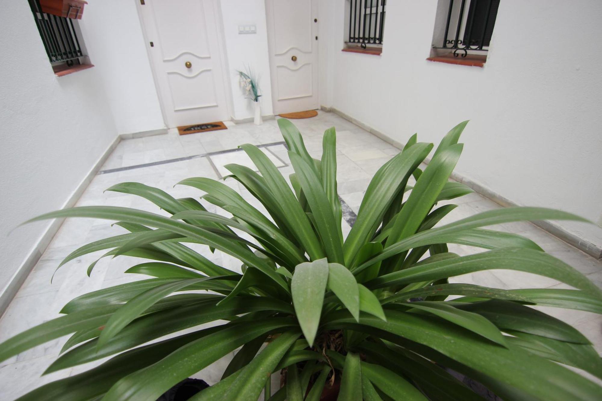 Apartamento Corazon De Triana Apartment Seville Exterior photo